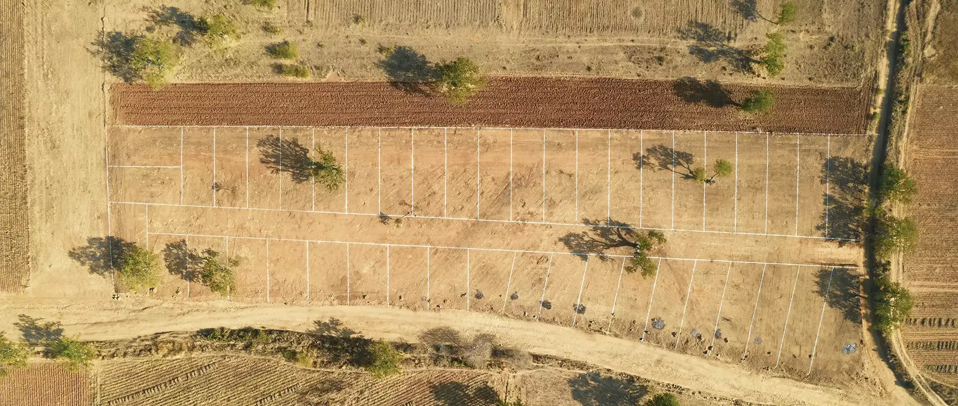 Proyectos de gestión de suelos